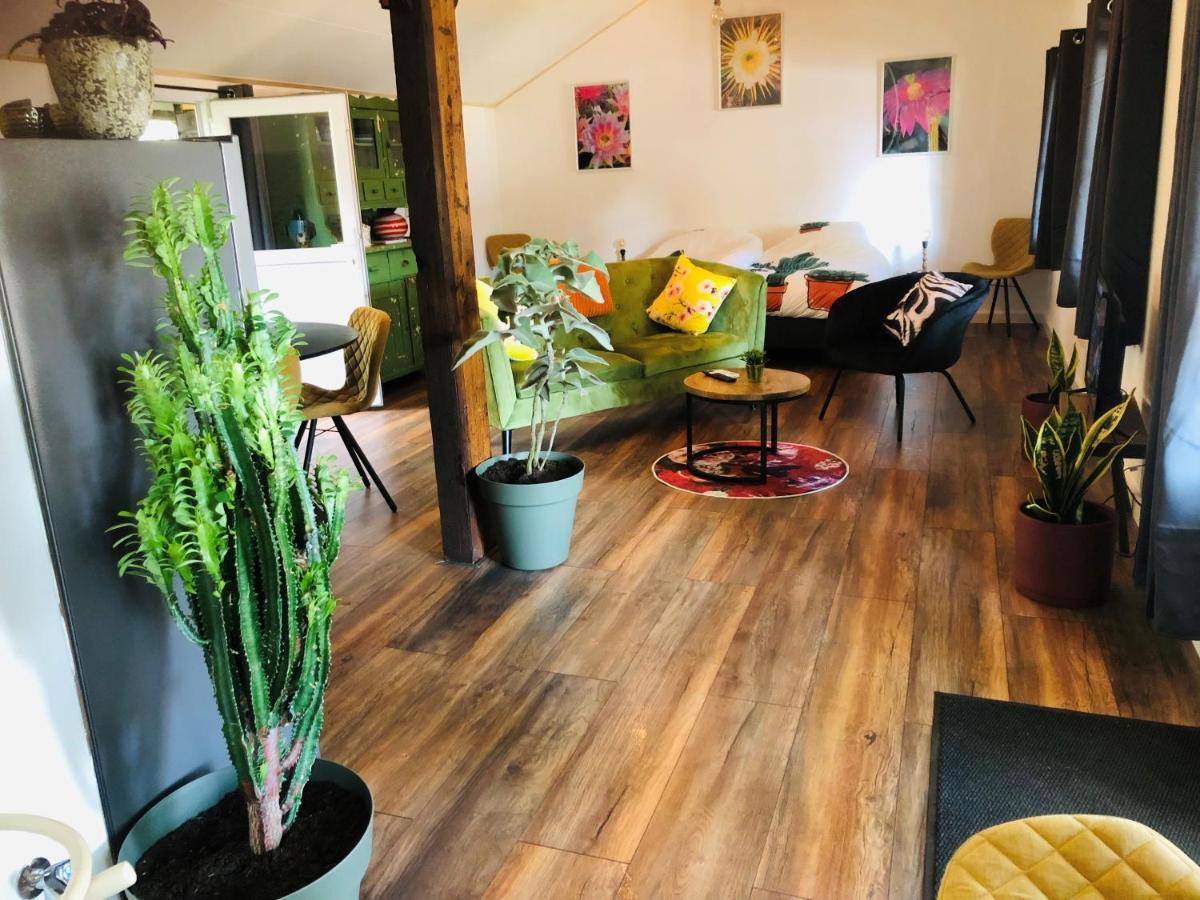 B &B Yuupke Maasbree Noord-Limburg Venlo Roermond Bed & Breakfast エクステリア 写真
