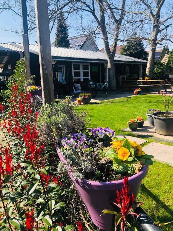 B &B Yuupke Maasbree Noord-Limburg Venlo Roermond Bed & Breakfast エクステリア 写真