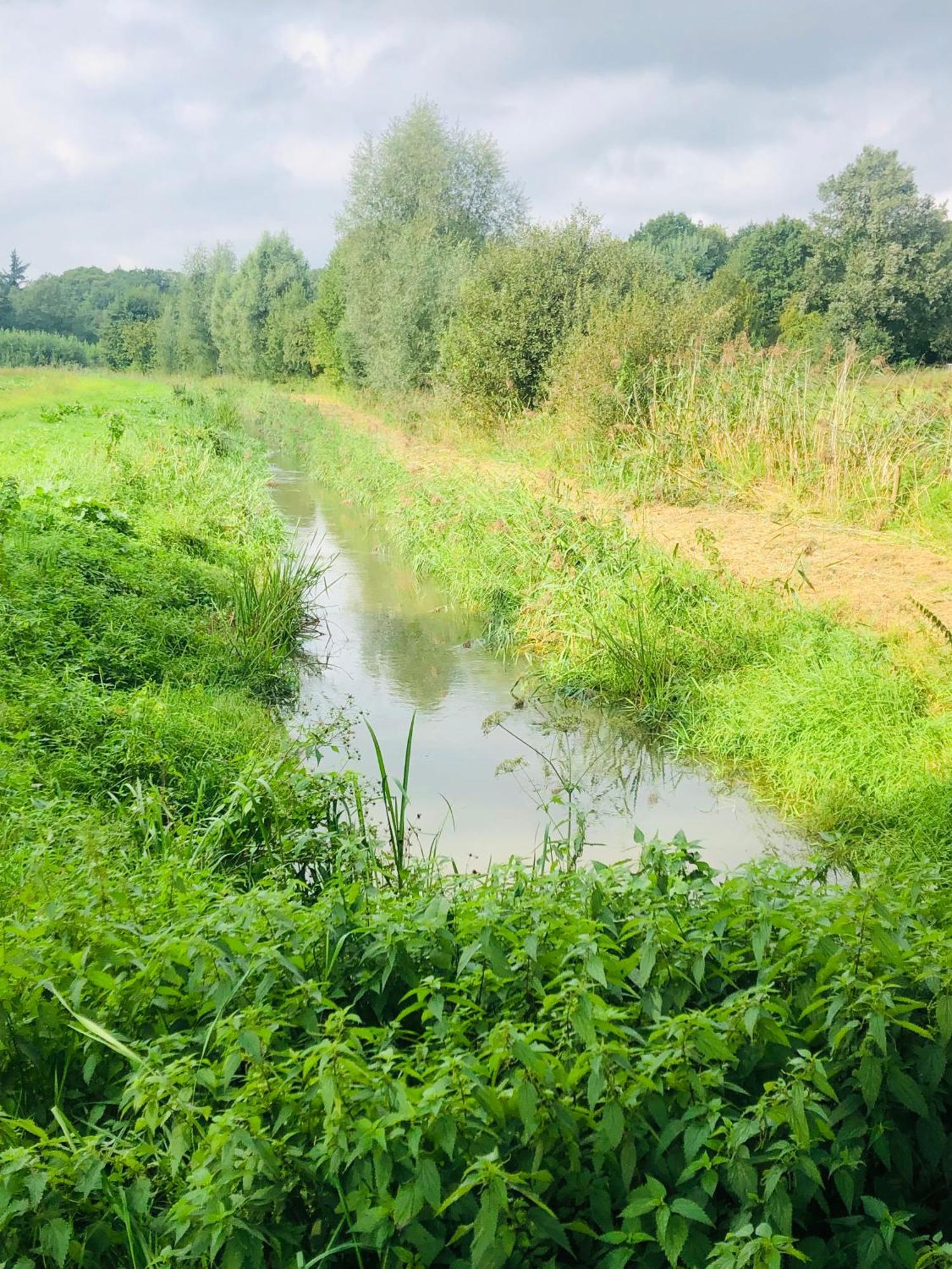 B &B Yuupke Maasbree Noord-Limburg Venlo Roermond Bed & Breakfast エクステリア 写真