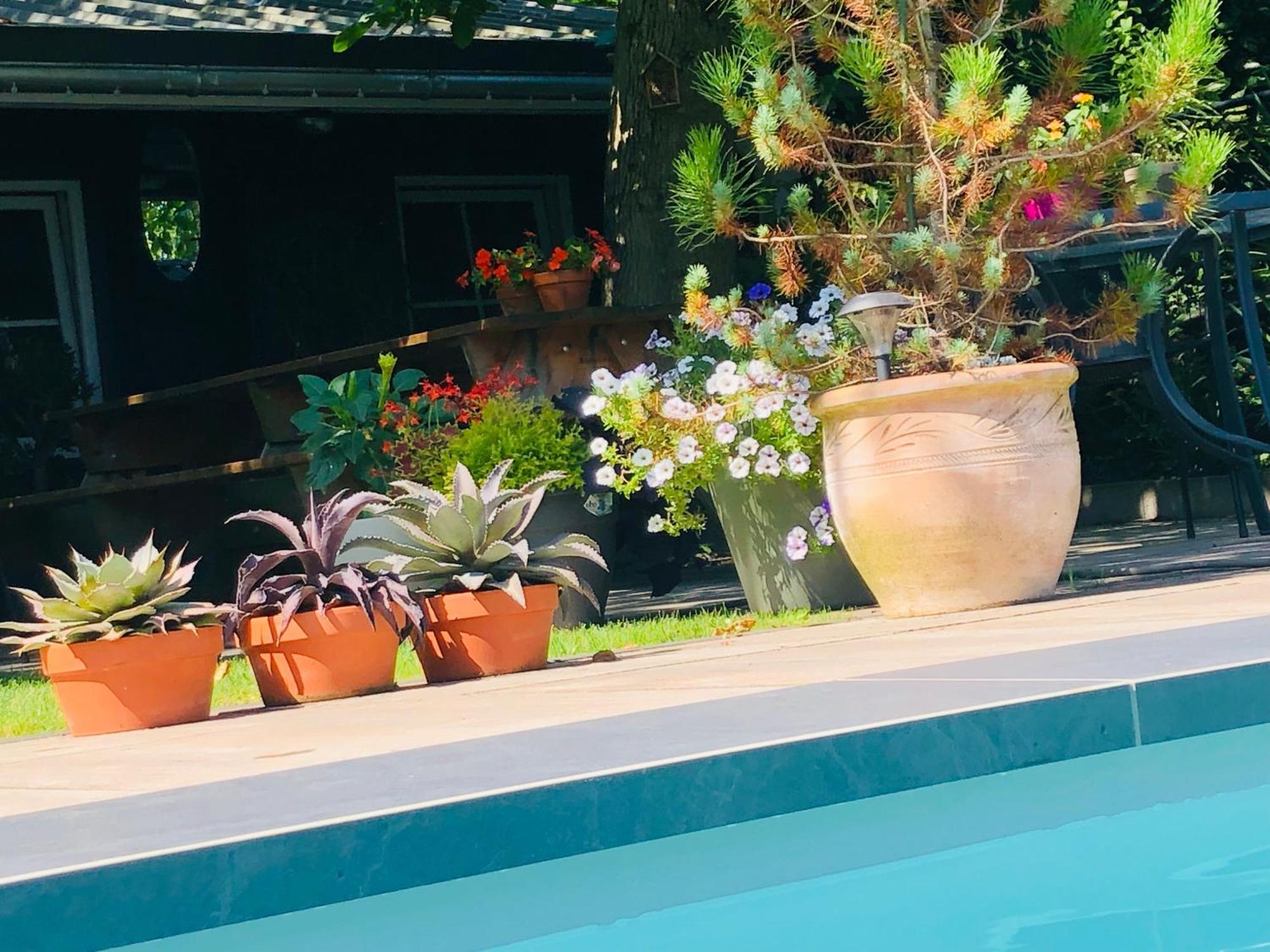 B &B Yuupke Maasbree Noord-Limburg Venlo Roermond Bed & Breakfast エクステリア 写真