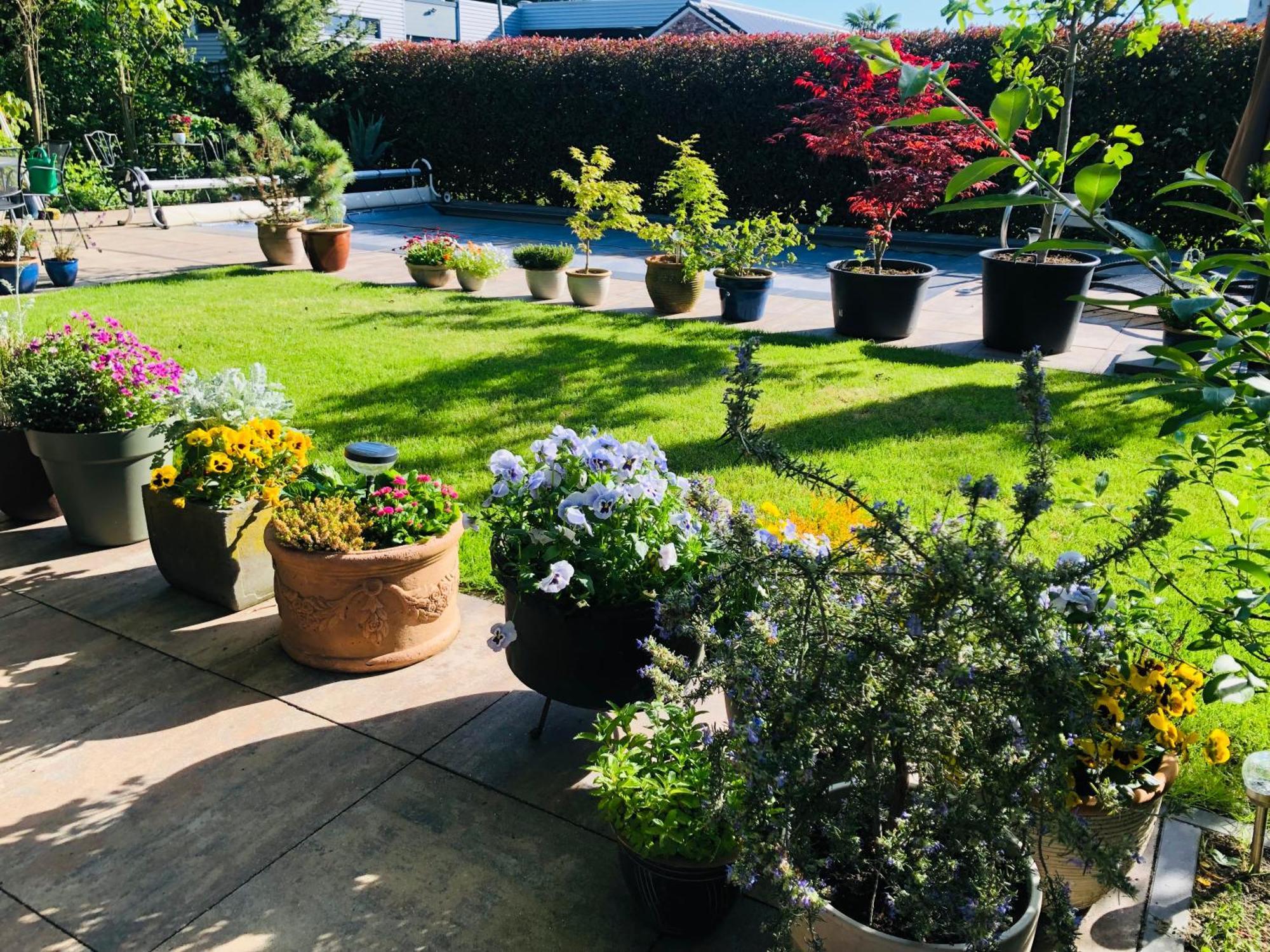 B &B Yuupke Maasbree Noord-Limburg Venlo Roermond Bed & Breakfast エクステリア 写真
